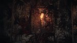 <a href=news_gsy_review_layers_of_fear-17561_fr.html>GSY Review : Layers of Fear</a> - 30 images maison (Steam)