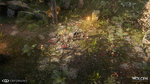 <a href=news_umbra_devient_wolcen_lords_of_mayhem-17622_fr.html>Umbra devient Wolcen: Lords of Mayhem</a> - Images