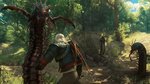 The Witcher 3: Blood & Wine se montre - Images Blood & Wine