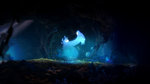 Ori and the Blind Forest mis en boîte - Images