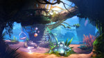 Ori and the Blind Forest mis en boîte - Images