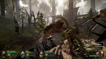 <a href=news_warhammer_vermintide_arrive_sur_consoles-18163_fr.html>Warhammer: Vermintide arrive sur consoles</a> - Images PS4