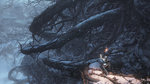 Dark Souls III: Ashes of Ariandel is out - 10 screens - Ashes of Ariandel