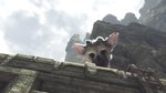 <a href=news_gsy_review_the_last_guardian-18591_fr.html>GSY Review : The Last Guardian</a> - 12 images maison