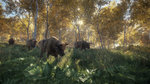 Our videos of theHunter's closed beta - Official screenshots