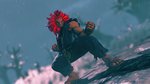 Street Fighter V : Gouki en mouvement - Images Gouki
