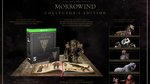 The Elder Scrolls Online: Retour à Morrowind - Physical Collector's Edition