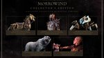 The Elder Scrolls Online: Retour à Morrowind - Digital Collector's Edition