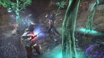 The Elder Scrolls Online shows the Warden - 3 screenshots