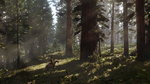 Red Dead Redemption 2 delayed - 7 screenshots