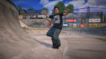 Awesome Tony Hawk Project 8 images - 10 images