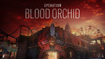 GC: R6S showcases Blood Orchid - Blood Orchid Artworks