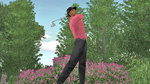 <a href=news_images_of_tiger_woods_07-3174_en.html>Images of Tiger Woods 07</a> - Xbox images