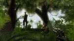 <a href=news_ubisoft_annonce_far_cry_instincts-570_fr.html>Ubisoft annonce Far Cry Instincts</a> - Premières images