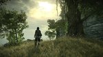 GSY Review : Shadow of the Colossus - Images maison 4K (PS4 Pro)