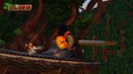 Our Switch videos of DKC Tropical Freeze - Screenshots