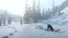 The wildlife in Red Dead Redemption 2 - 8 screenshots