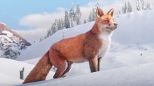 The wildlife in Red Dead Redemption 2 - 6 screenshots