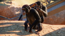 E3: New Youtube trailer of Planet Zoo - 12 screenshots