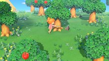 GSY Review : Animal Crossing: New Horizons - Screenshots
