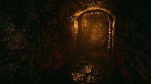 Nouvelle plongée en HDR dans Demon's Souls - Images maison