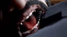 Vampire: The Masquerade - Swansong trailer - Images