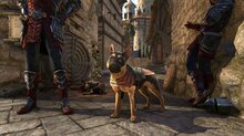 Bethesda reveals new Elder Scrolls Online adventure - 10 screenshots