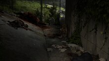 We reviewed The Last of Us Part II Remastered - Gamersyde images (PS5)