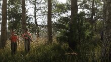 New GTA VI trailer - Locations