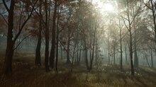 We reviewed Ghost of Yōtei - Gamersyde images (PS5 Pro)