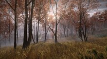 We reviewed Ghost of Yōtei - Gamersyde images (PS5 Pro)