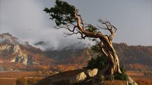We reviewed Ghost of Yōtei - Gamersyde images (PS5 Pro)