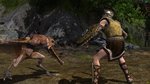 Images and trailer of Age of Conan - PC images