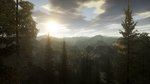 Images of Alan Wake - Old-build images