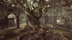 <a href=news_a_new_pack_of_maps_for_gears_of_war-4275_en.html>A new pack of maps for Gears of War</a> - 4 images