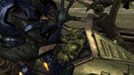 <a href=news_nouvelles_images_de_halo_2-783_fr.html>Nouvelles images de Halo 2</a> - Images OXM