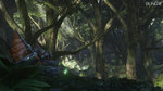 E3: Halo 3 stream capture - E3: Maxi images