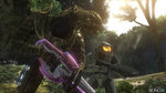 E3: Halo 3 stream capture - E3: Maxi images