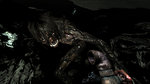 <a href=news_e3_condemned_2_images-4599_en.html>E3: Condemned 2 images</a> - E3: Images
