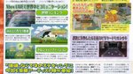 Scans de Beautiful Katamari Damacy - Scans Famitsu Weekly