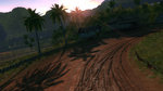 Sega Rally: Tropique dans ton coeur - Tropical Environment