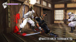 Encore des images de Master Ninja Tournament - Master Ninja Tournament