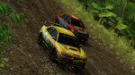 TGS07 : Images de Sega Rally - 5 Images Pré-TGS07
