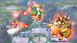 Images of SSBB (Special Brawl) - 5 Images