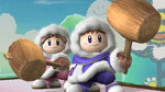 Images of SSBB (Ice Climbers) - 5 Images