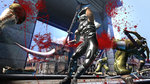 <a href=news_images_of_ninja_gaiden_2-5443_en.html>Images of Ninja Gaiden 2</a> - TGS images