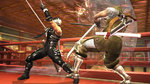 <a href=news_images_and_trailer_of_ninja_gaiden_2-5606_en.html>Images and trailer of Ninja Gaiden 2</a> - 3 images