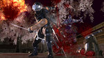 <a href=news_ninja_gaiden_2_is_back_already-5685_en.html>Ninja Gaiden 2 is back already</a> - 5 images