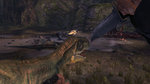 Turok captured in images - Images