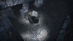 Images de Tomb Raider: Underworld - 7 images